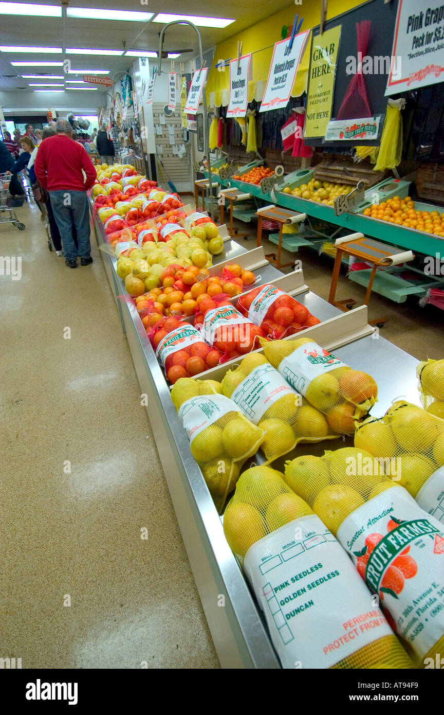 Agricultural Orange Lemon Grapefruit and Citrus groves at Sarasota