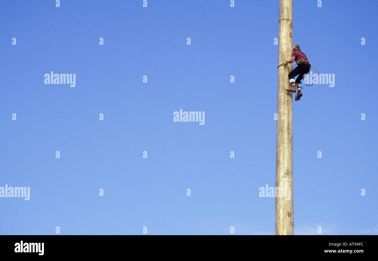 Lumberjack climbing pole in lumberjack show Snohomish County Washington State Fair Grounds Monroe WA Stock Photo