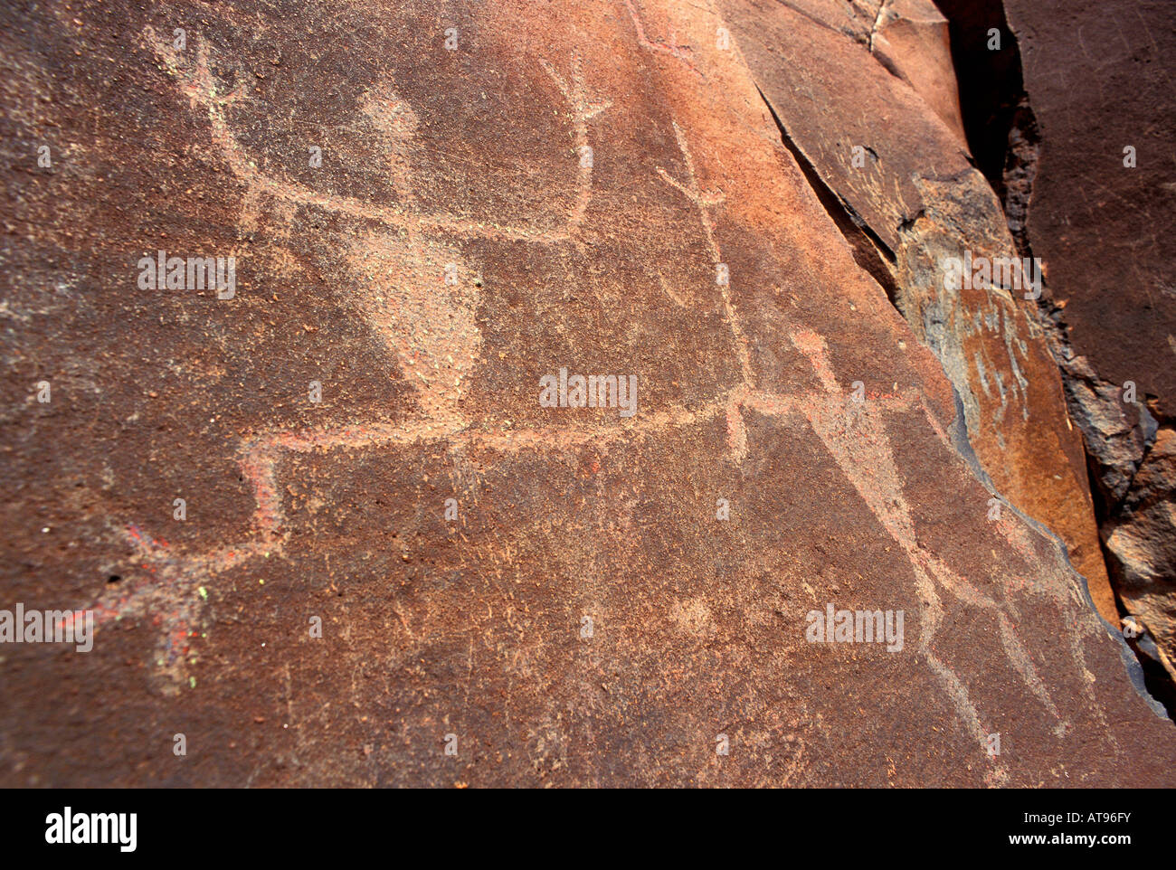Well preserved Native Hawaiian petroglyphs on a rock face in Olowalu, Maui. Stock Photo
