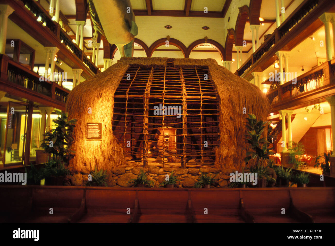 Interior view of Bishop museum on Oahu Stock Photo