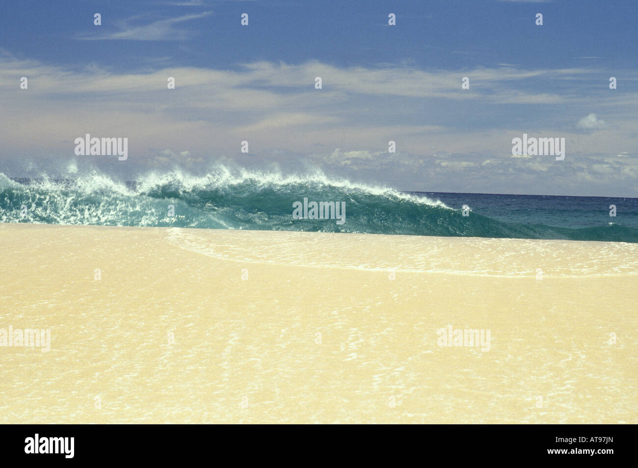 North shore wave Oahu Stock Photo Alamy
