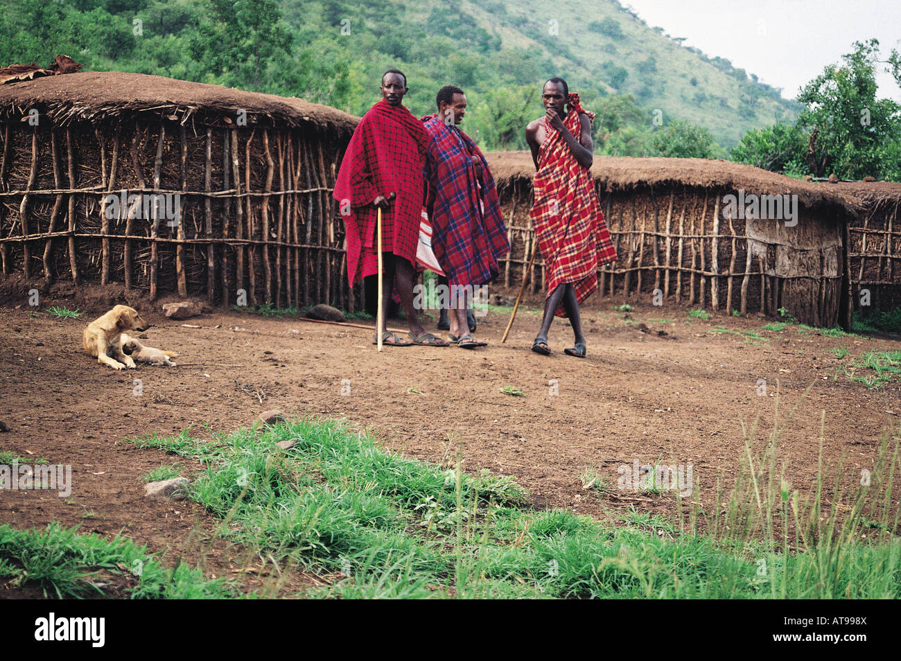 Maasai elders at their village Masai Mara National Reserve Kenya East ...