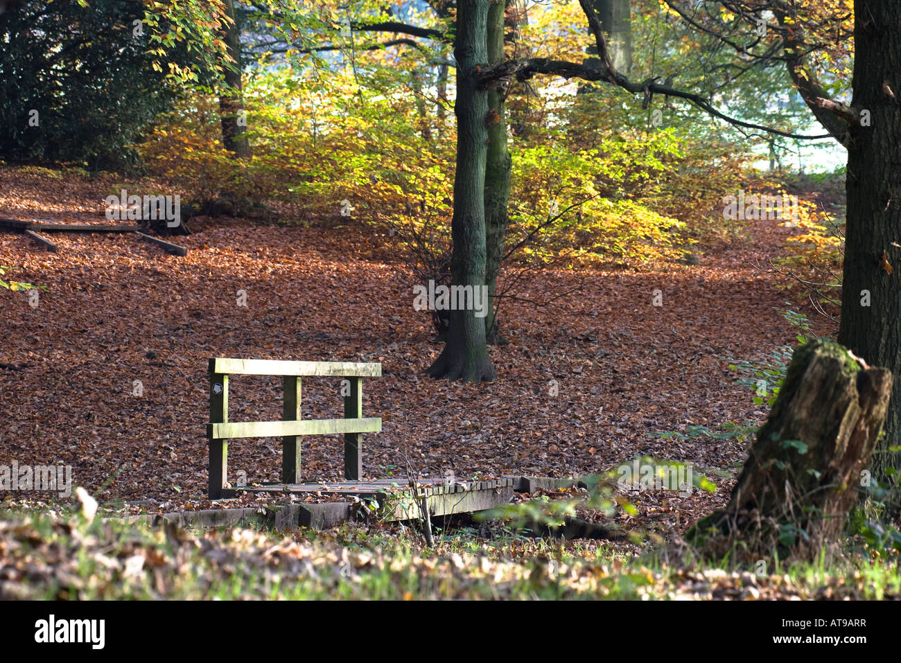 jug gå på indkøb Somatisk celle Woodland scene with wooden bridge in autumn here in Chesham Local Nature  Reserve Bury Lancashire UK Stock Photo - Alamy