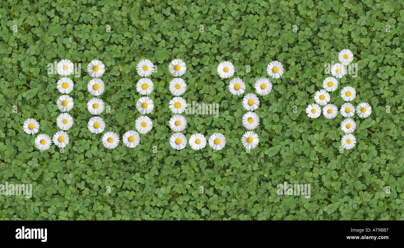 words signs numbers written with daisies Stock Photo Alamy