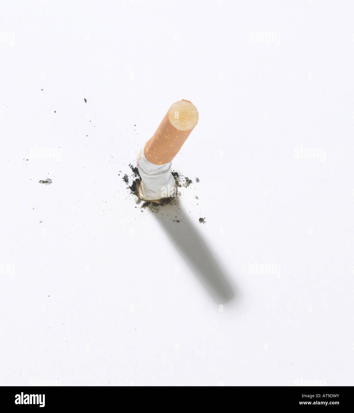 cigarette butt stubbed out on a white background Stock Photo - Alamy