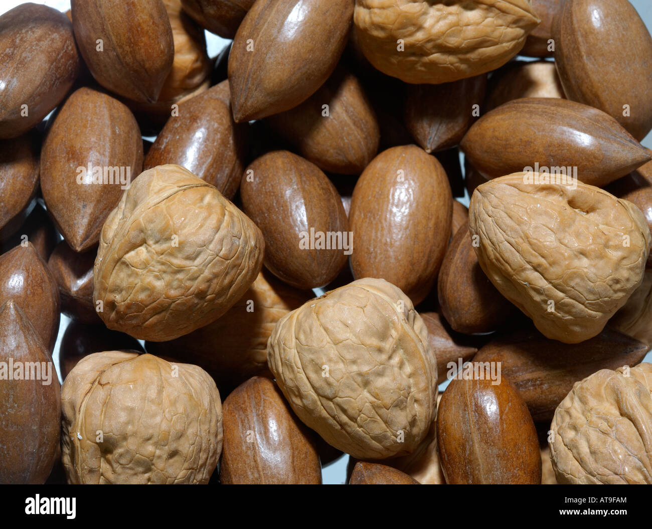 Pecans and Walnuts Stock Photo Alamy