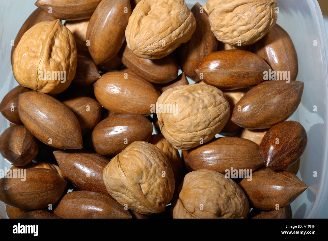 Pecans and Walnuts Stock Photo Alamy