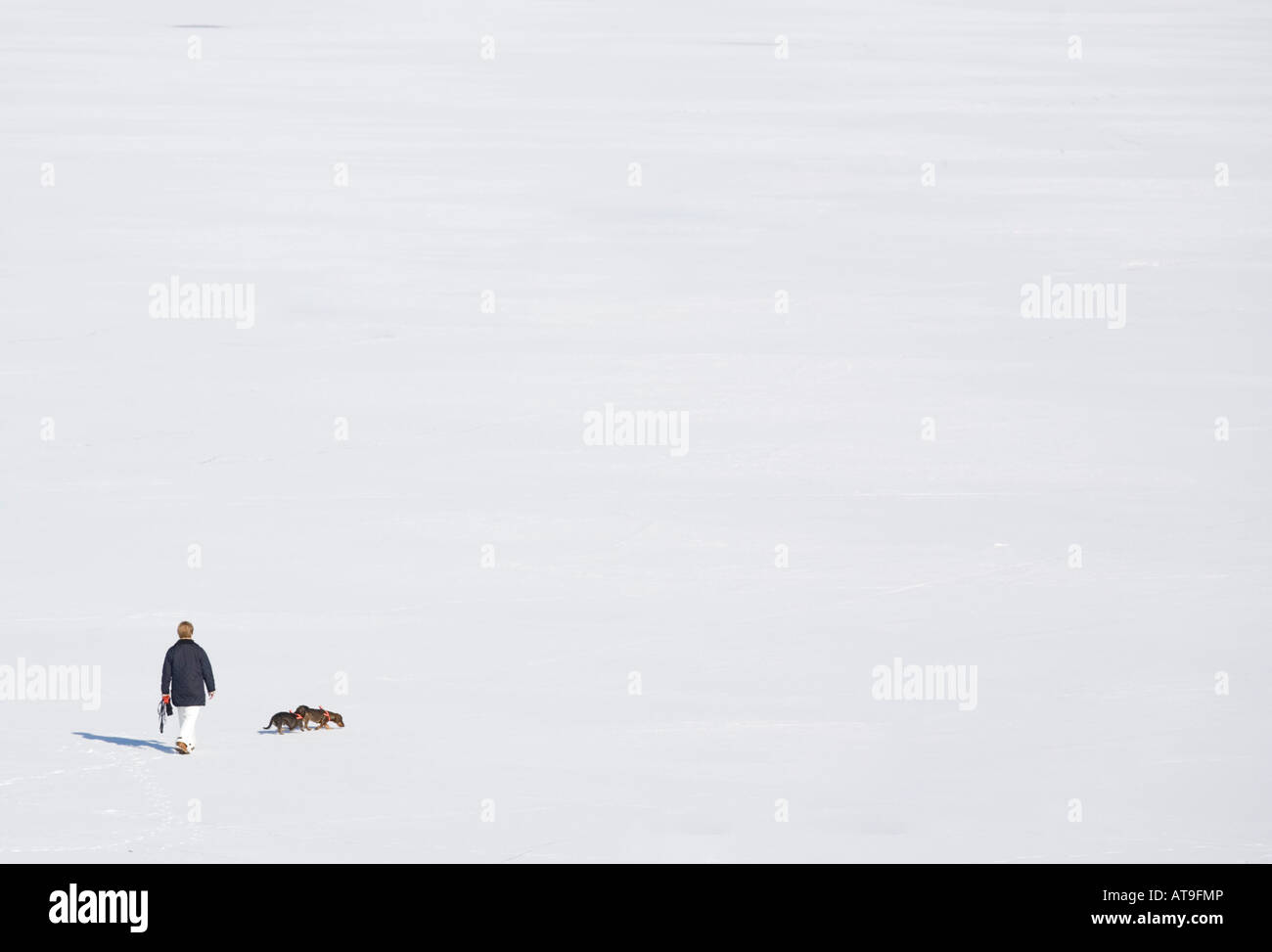 High angle people walking hi-res stock photography and images - Alamy