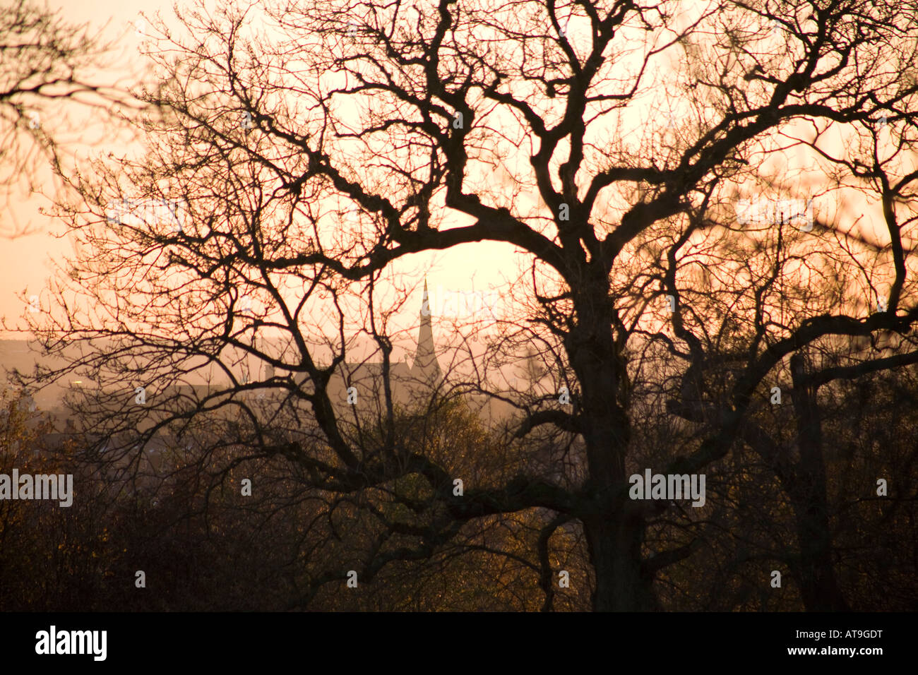 Evocative winter sunset scene with Bury Parish Church visible between the branches of a tree in Chesham Local Nature Reserve UK Stock Photo