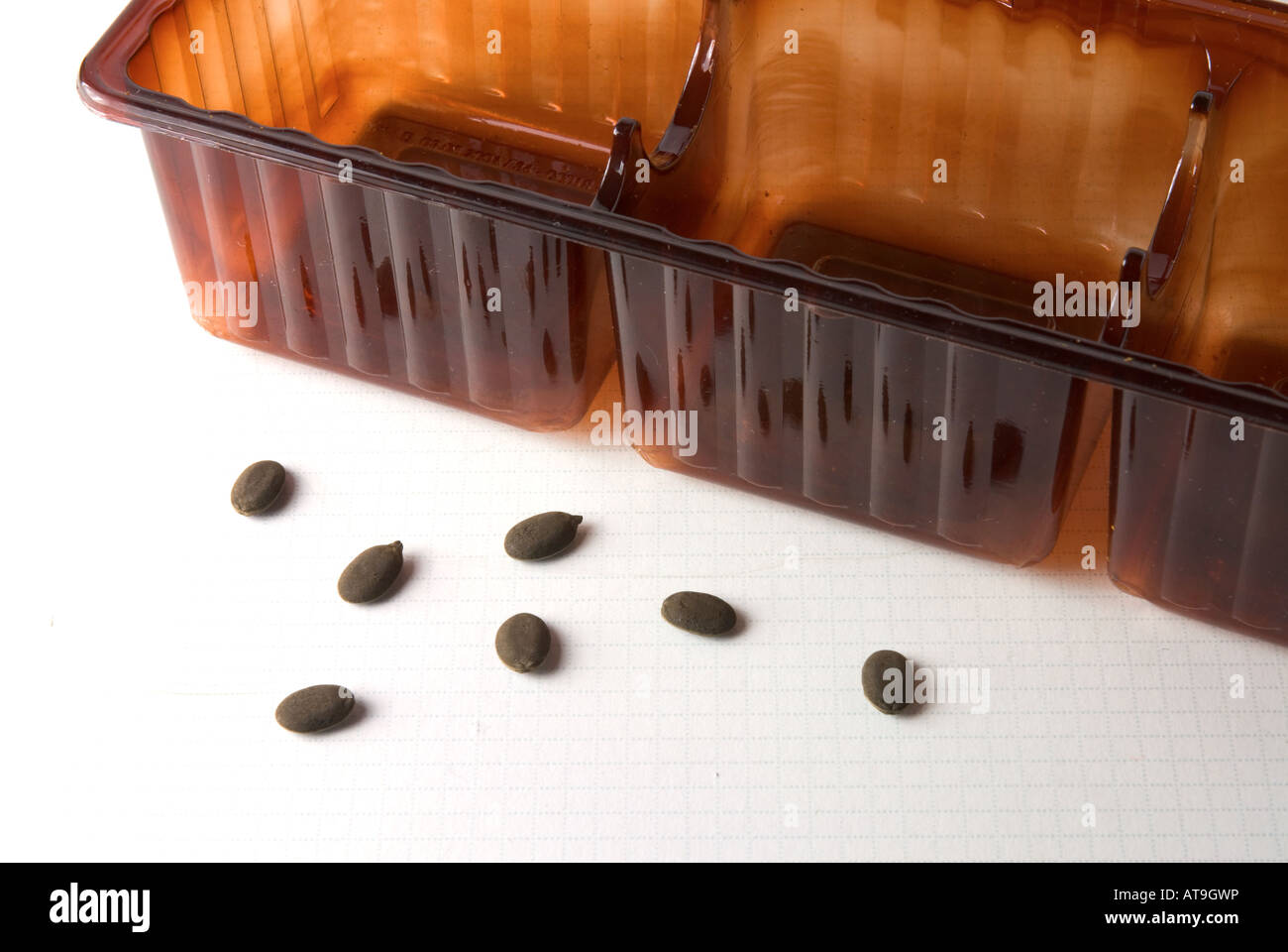 Luffa seeds and empty cookie pack used as a seeding pot Stock Photo