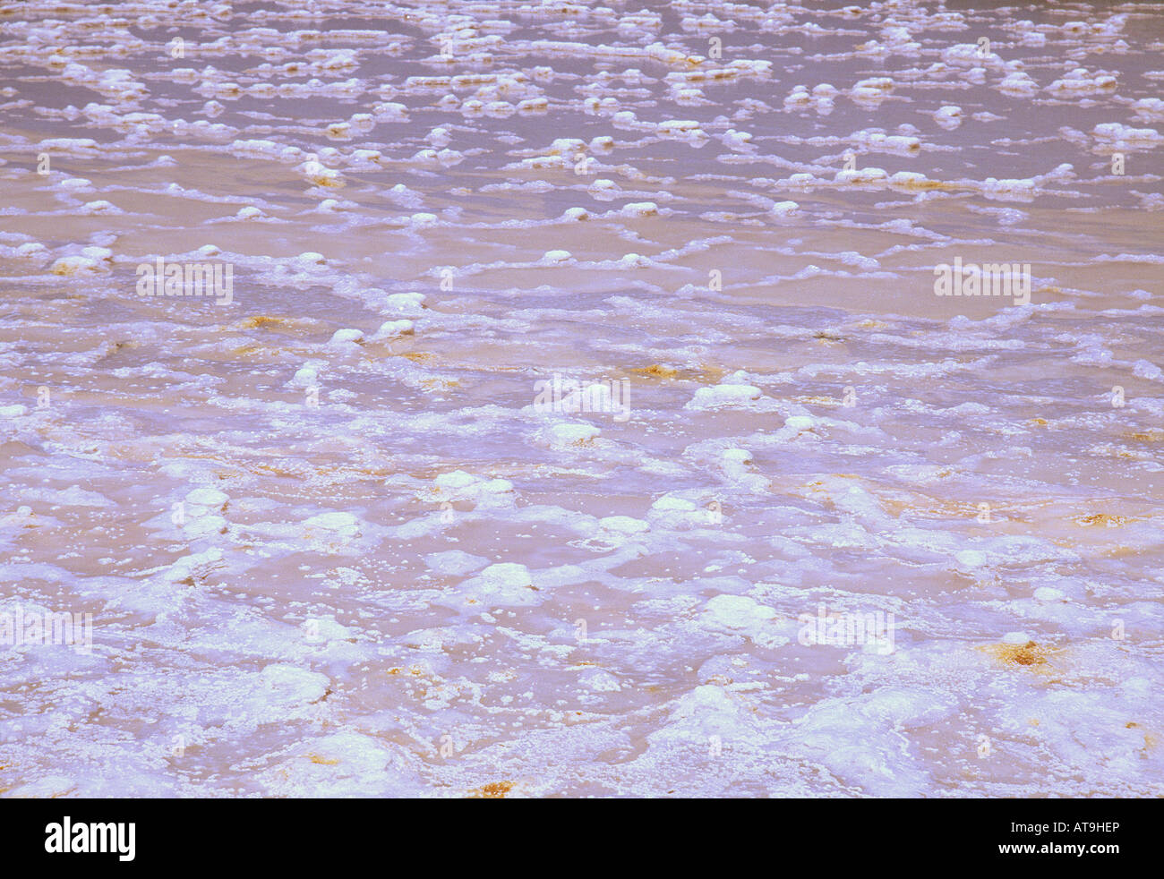Detail of salt work pool Stock Photo Alamy