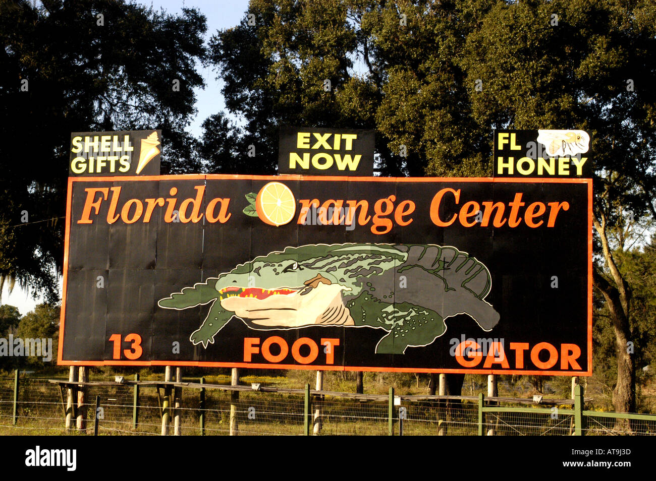 Florida Roadside Highway Billboard Advertising Stock Photo Alamy