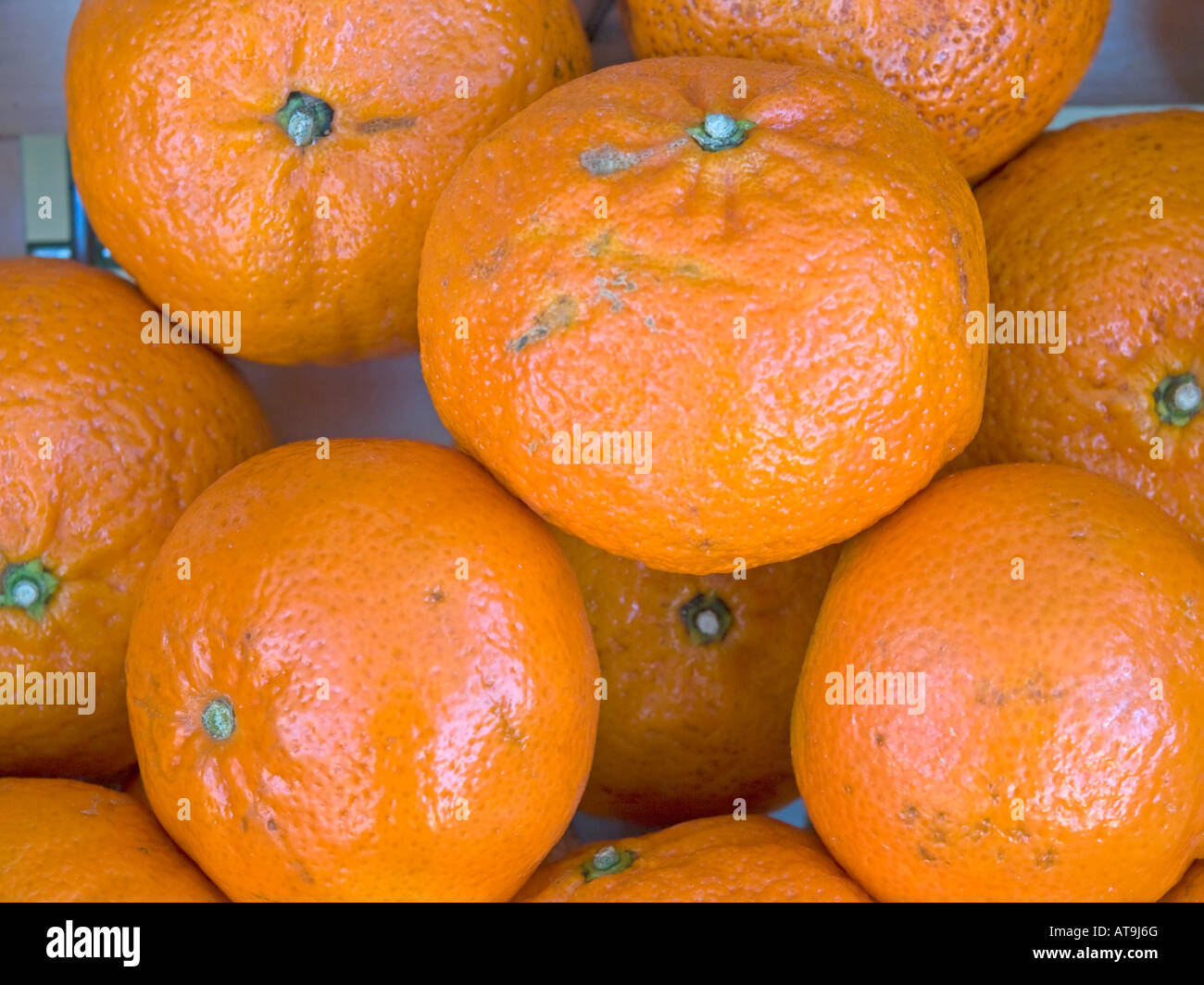 Mandarin orange Citrus reticulata for sale Stock Photo Alamy