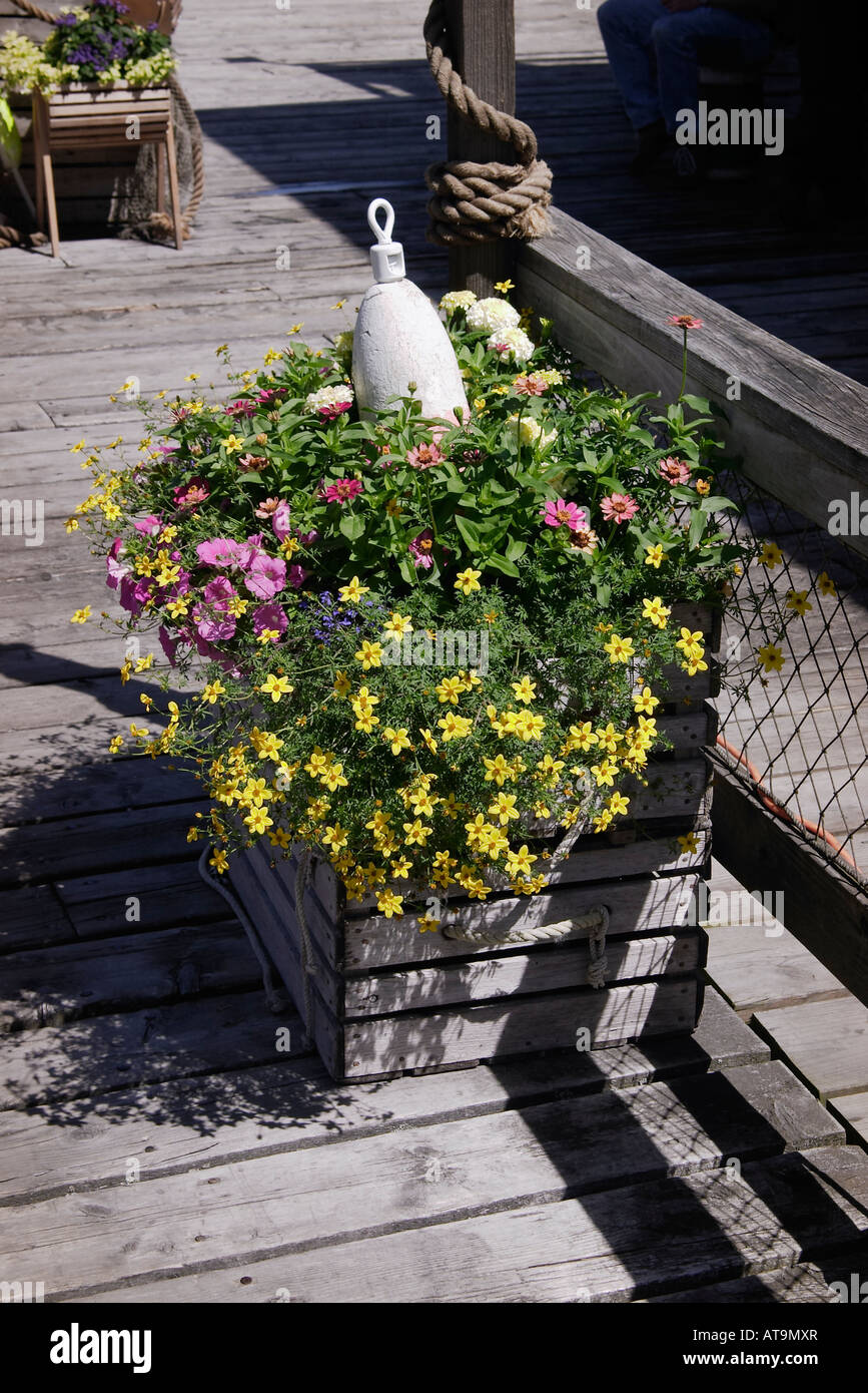 A flower box made out of a seafood crate with a buoy ornament on the deck of an outdoor restaurant in Bar Harbor Maine Stock Photo