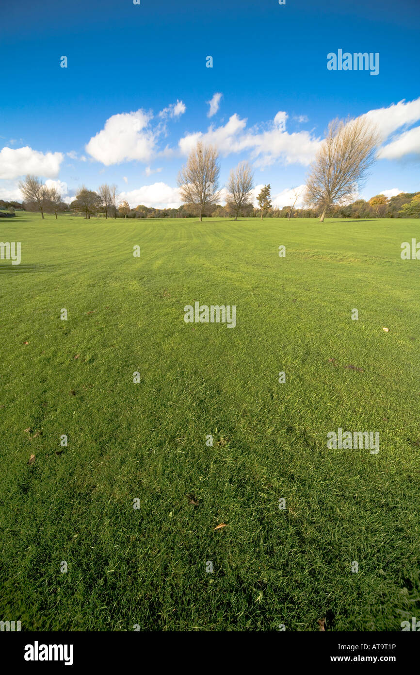 Green grass field and trees and blue sky at Chesham Local Nature