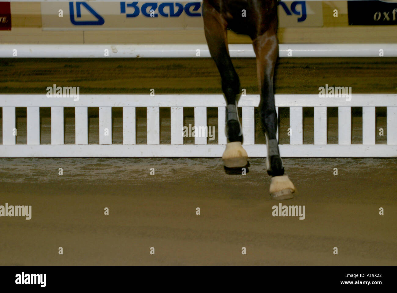 Horses front feet hires stock photography and images Alamy