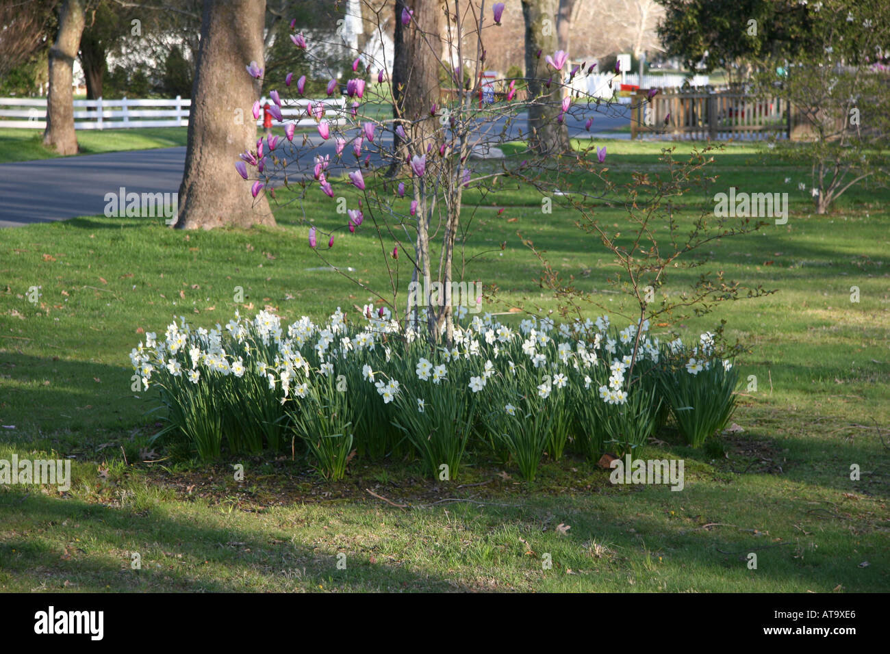 Flowers in the front yard hi-res stock photography and images - Alamy