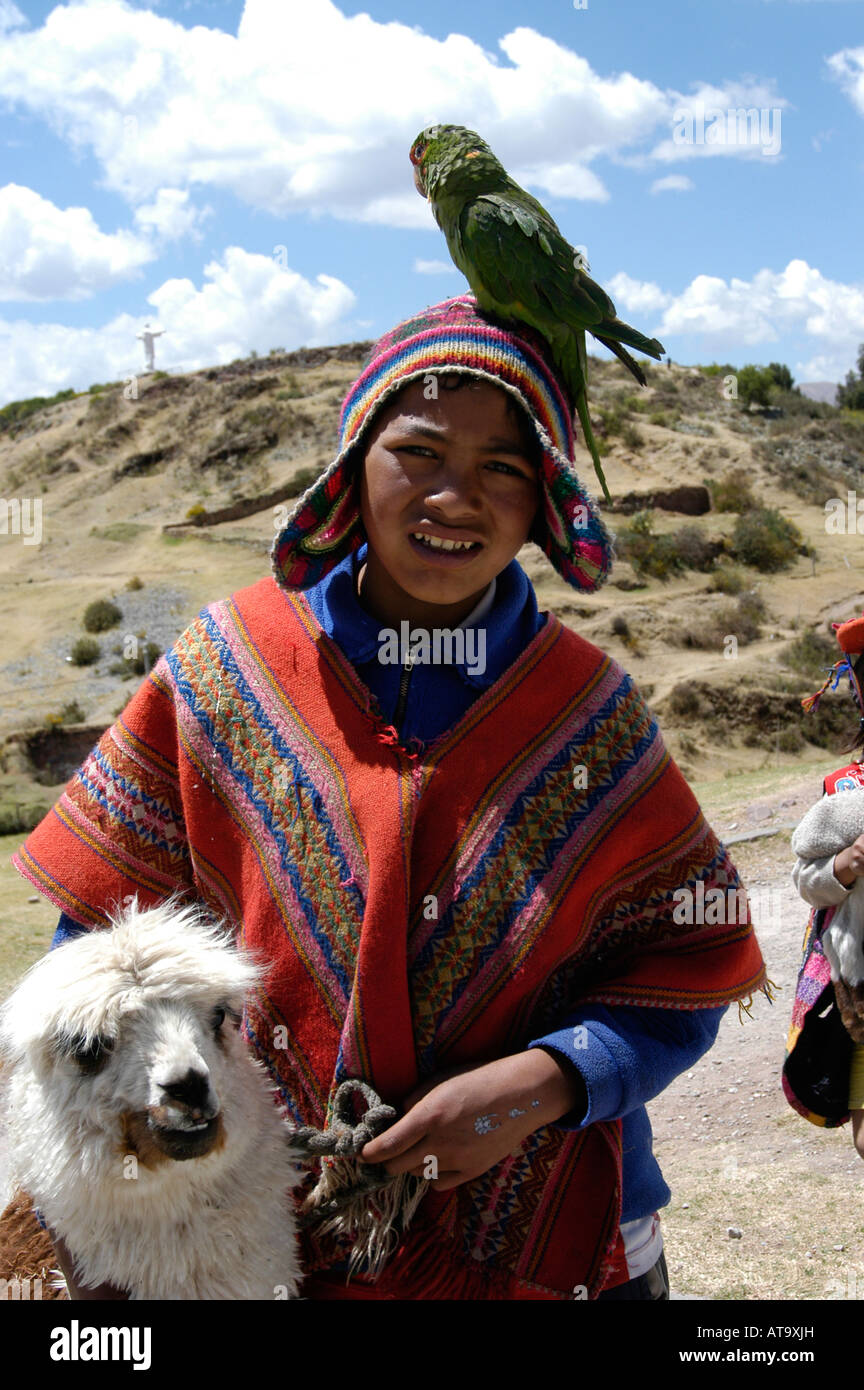 Boy with parrot and alpacka in Peru. Stock Photo