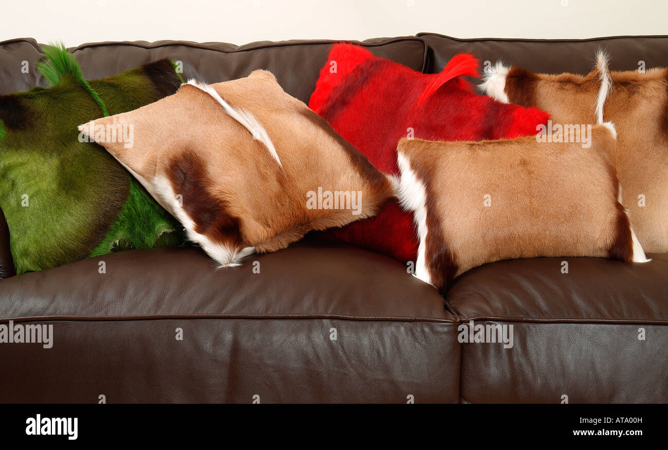 animal hair scatter cushions on brown leather sofa Stock Photo