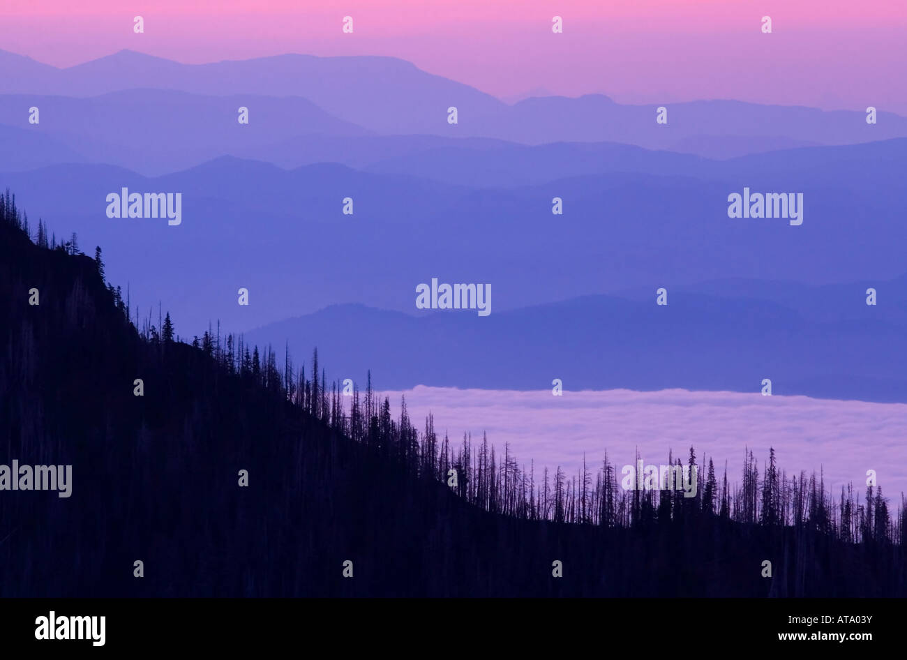 Hurricane Ridge Sunset Stock Photo Alamy