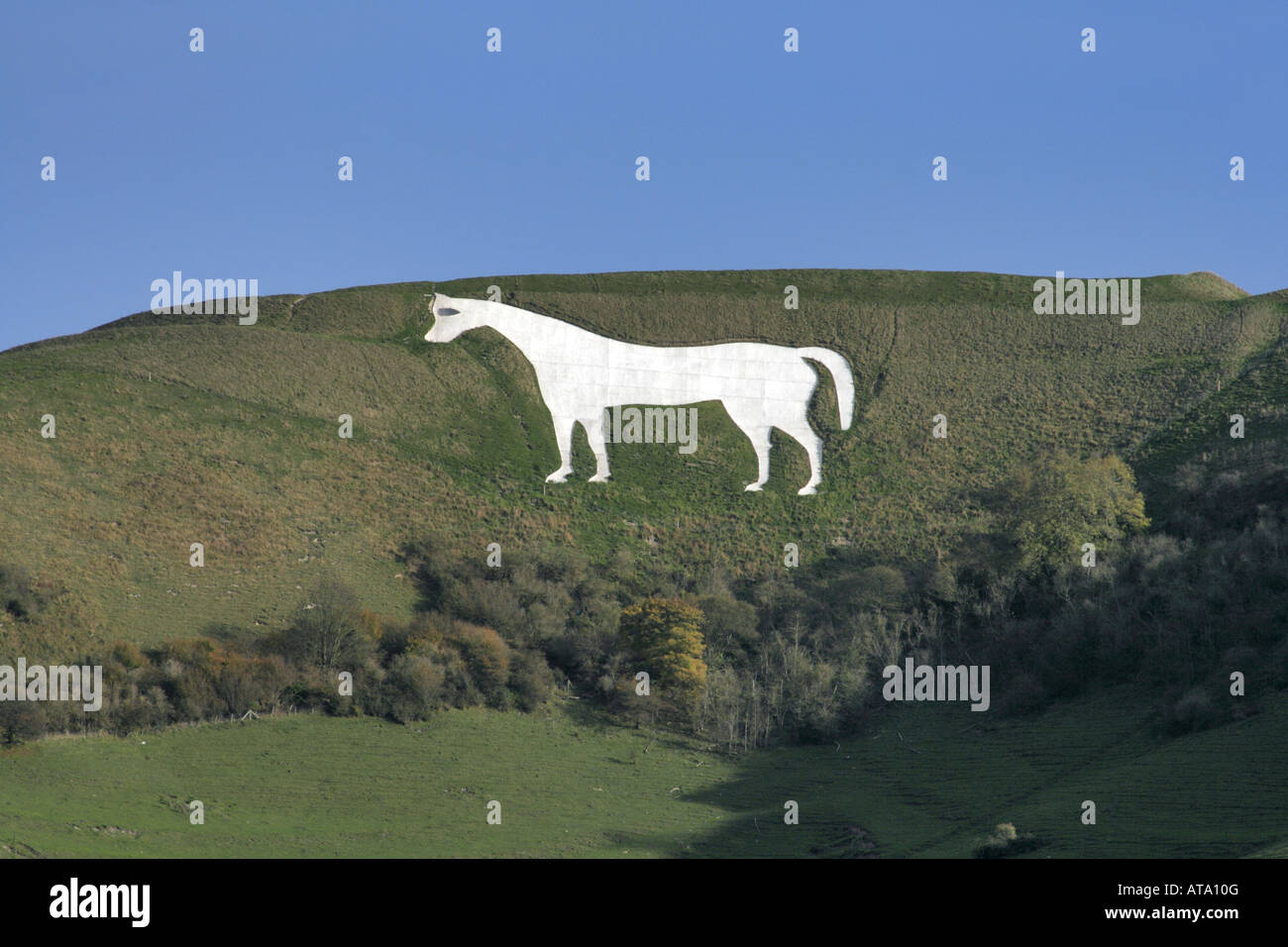 Westbury White Horse Stock Photo Alamy