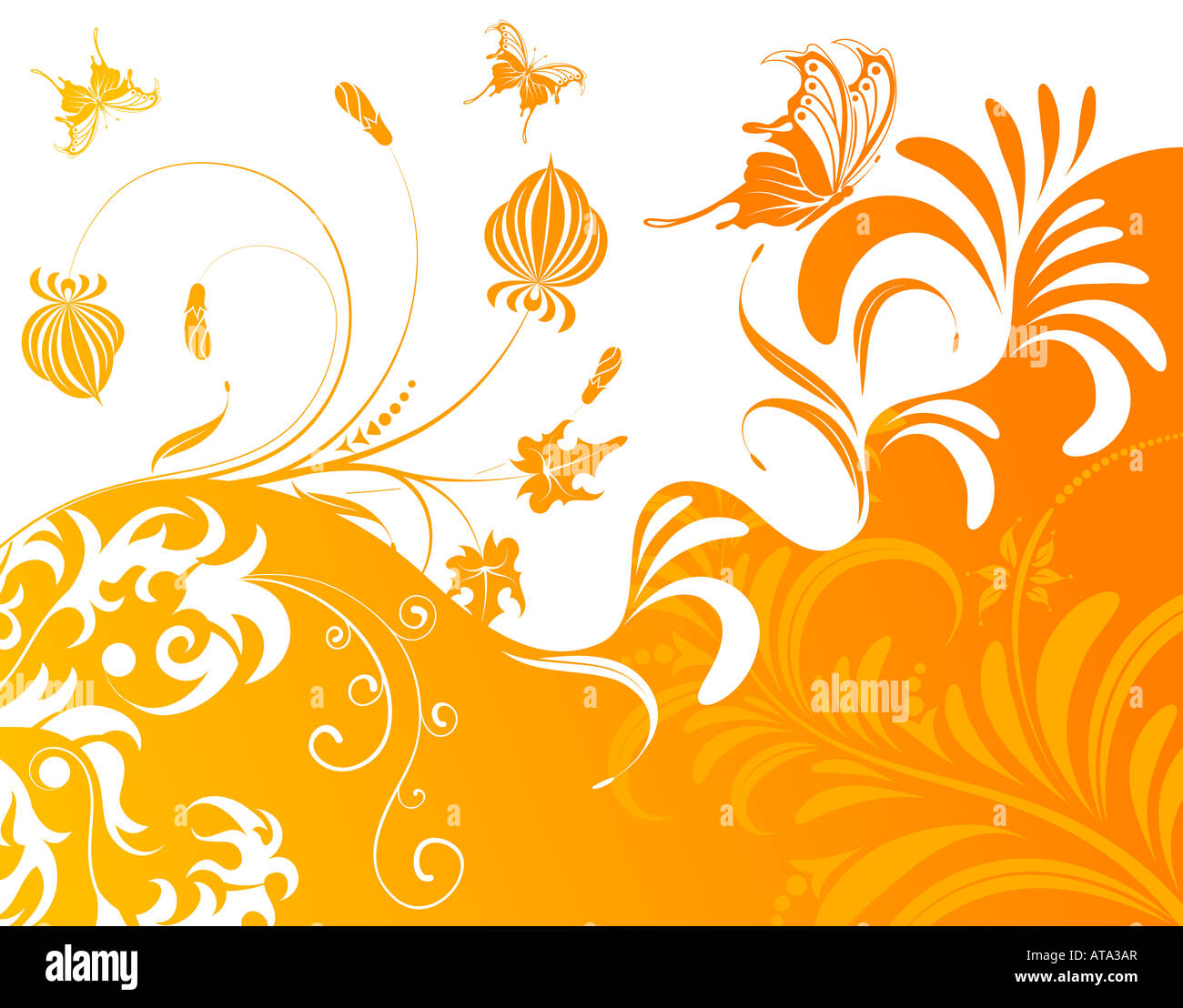Abstract flower background with butterfly Stock Photo - Alamy