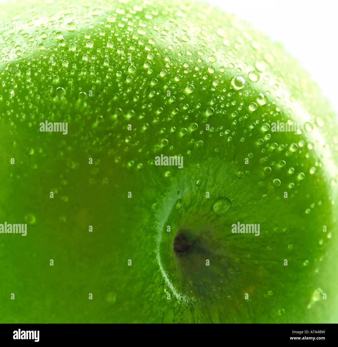 Granny Smith Apple Stock Photo Alamy