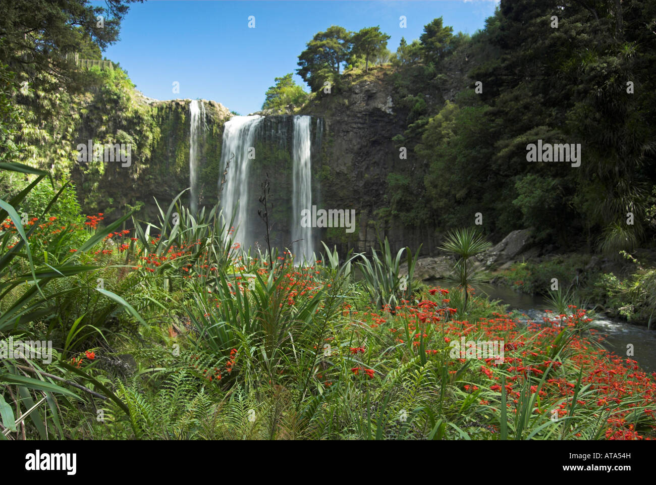 The picturesque Whangarei Waterfall, North Island, New Zealand Stock Photo