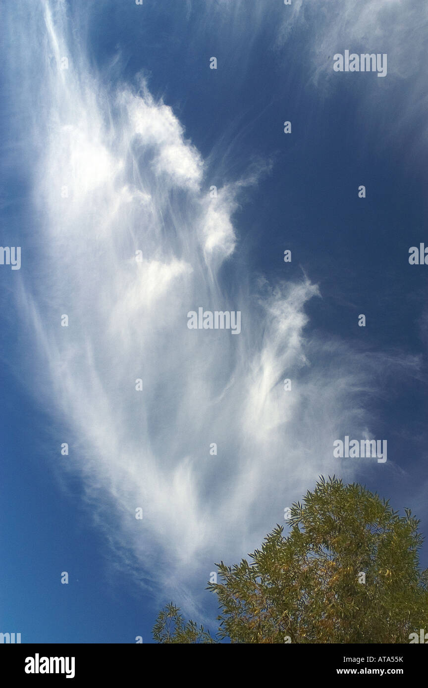 wispy cirrus marestail clouds dance across the blue sky Stock Photo