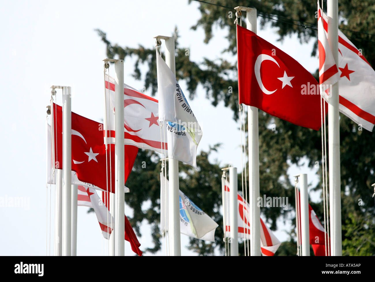 Turkish flags fly close to the border with Greek Cyprus at the Ledra Palace checkpoint the day before the Greek Cypriot s vote i Stock Photo