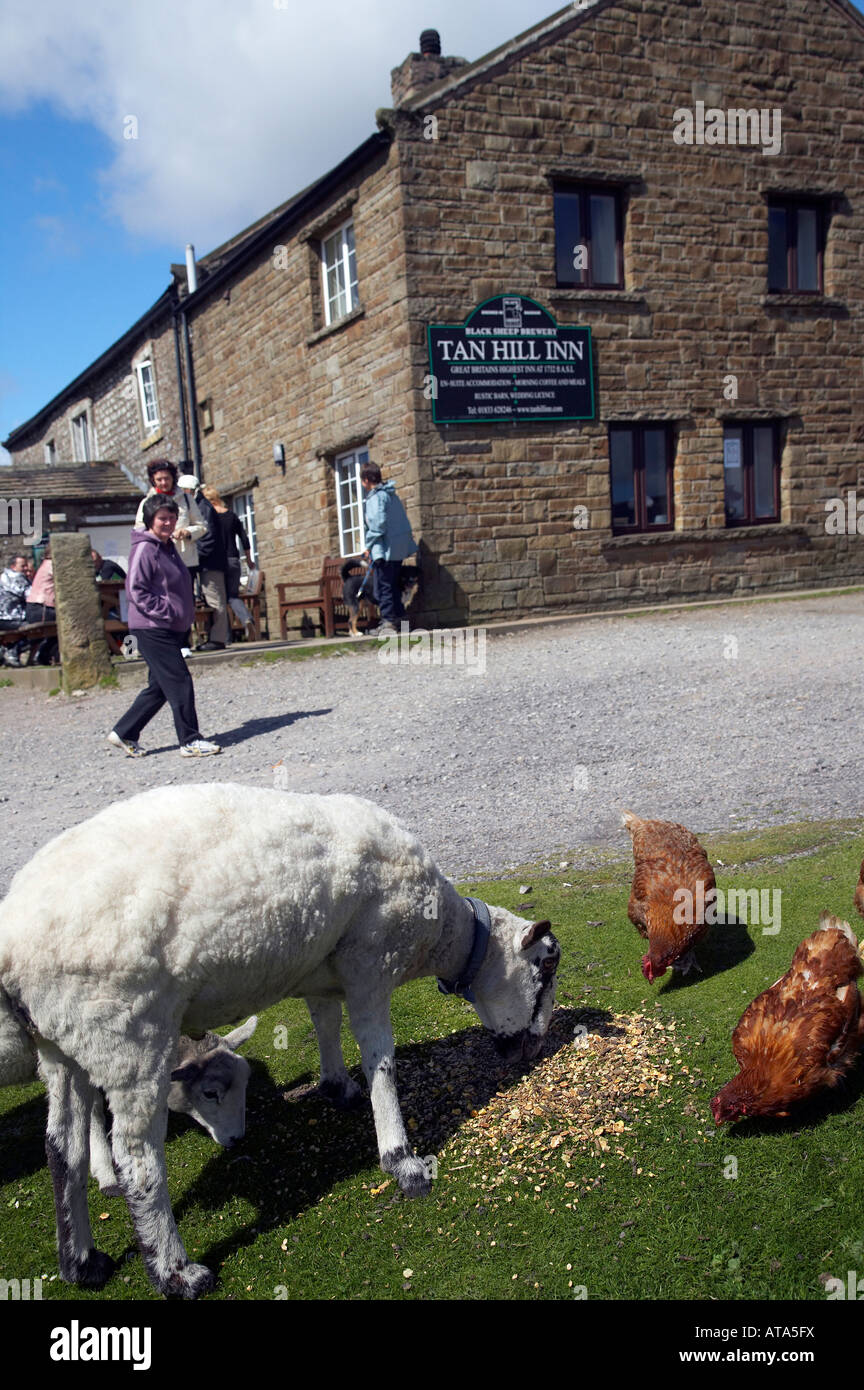 Tan Hill Inn Britains Highest Pub above Swaledale Yorkshire Dales ...