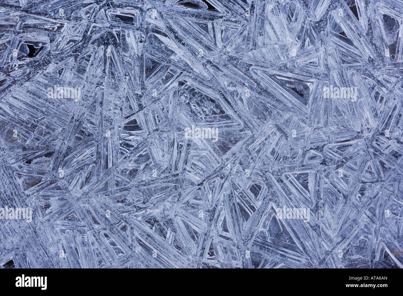 Ice crystals on stream Derbyshire Peak District Stock Photo