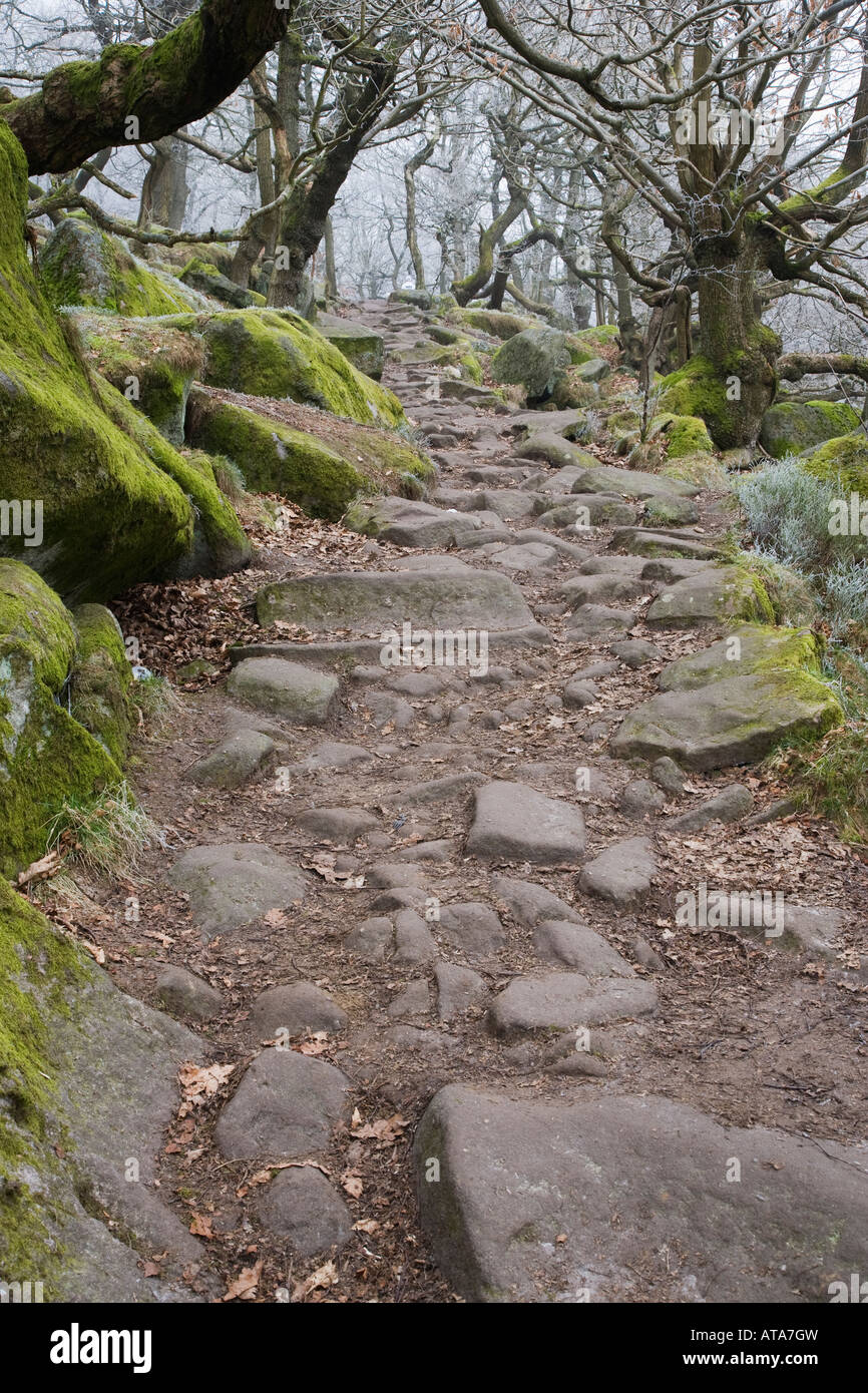 Footpath through ancient oak wood Padley Gorge Derbyshire Peak District Stock Photo