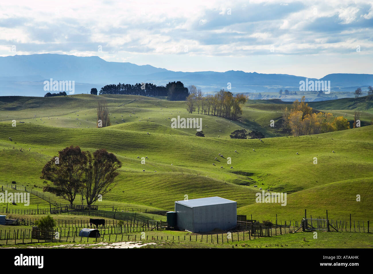 Farmland Napier Taihape Road Hawkes Bay North Island New Zealand Stock