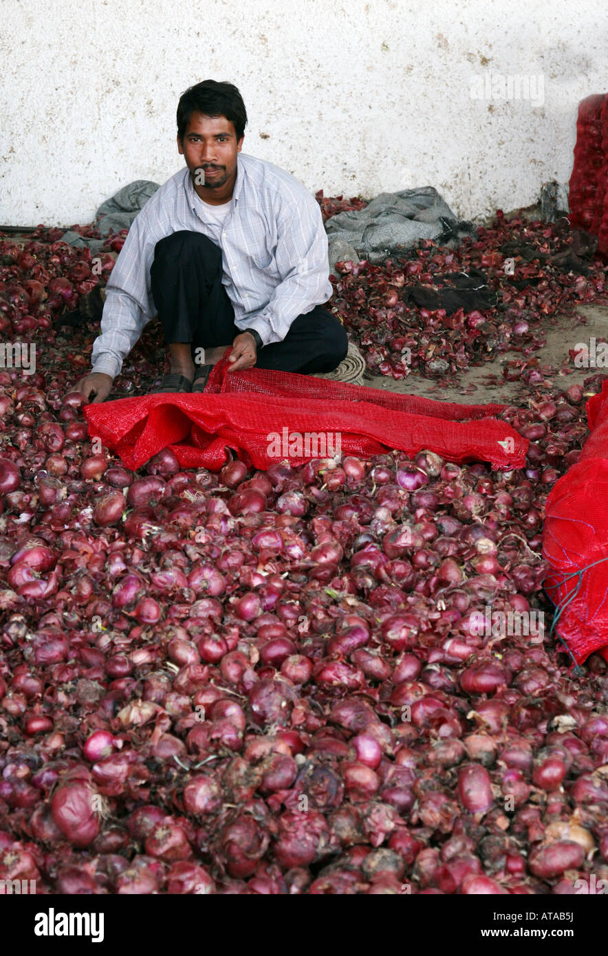 A worker prepares red onions, Fruit and Veg market, Abu Dhabi City, UAE