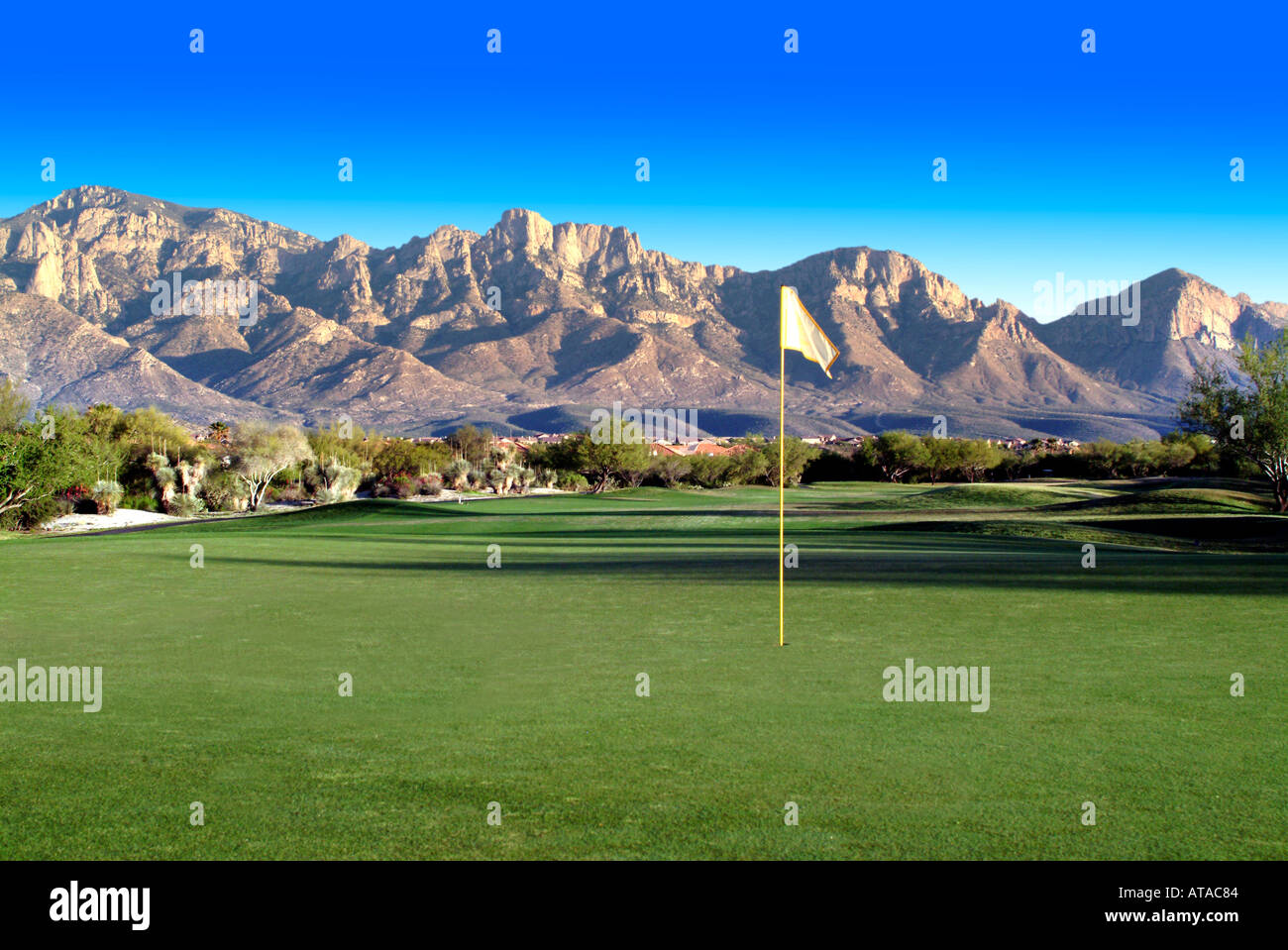 landscape image of a golf course Stock Photo