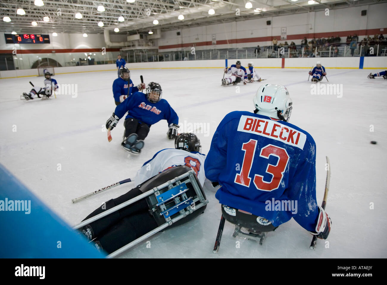 Handicapped Athletes Play Sled Hockey Stock Photo Alamy