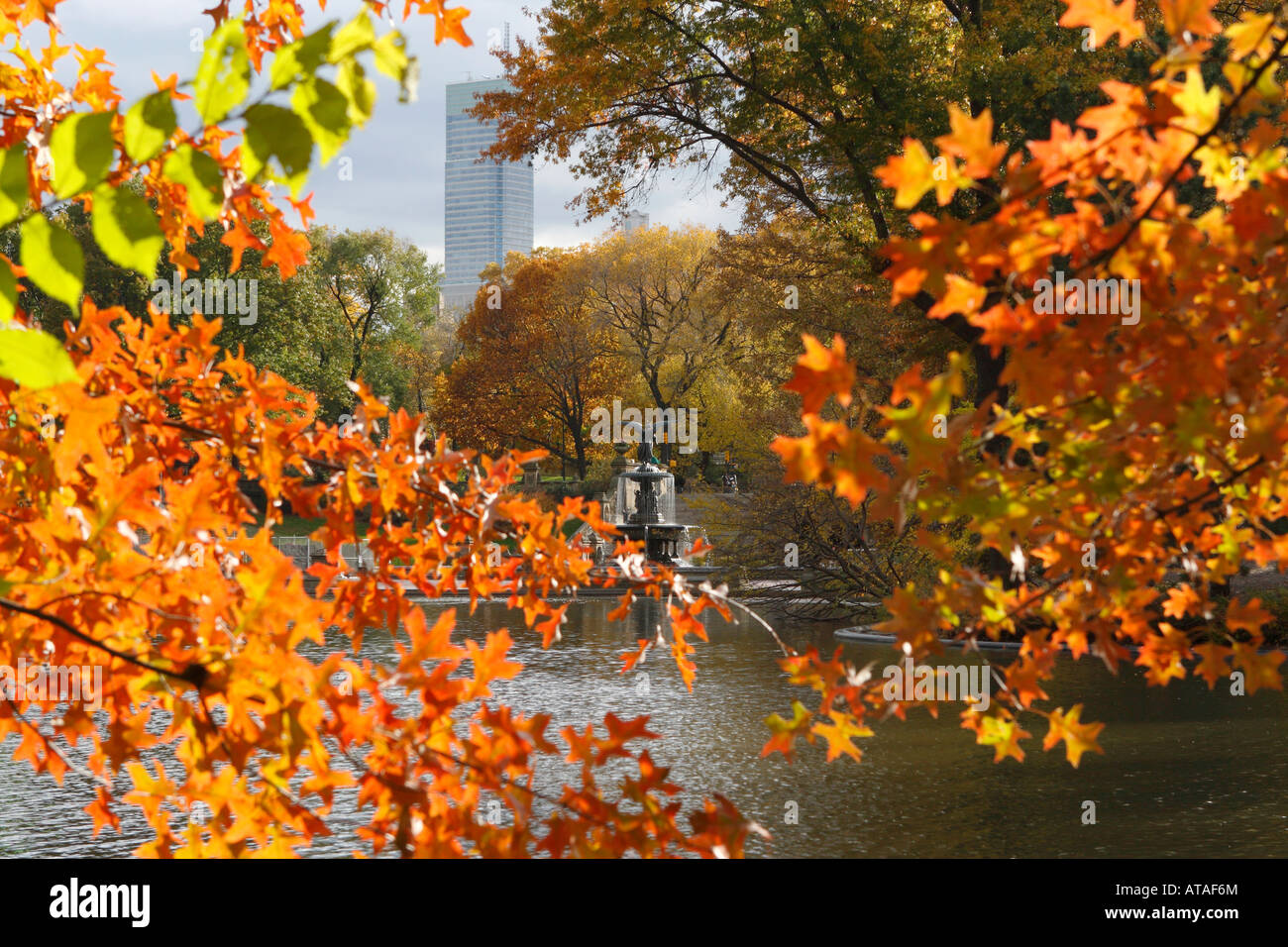 In New York City Central Park Stock Photo Alamy