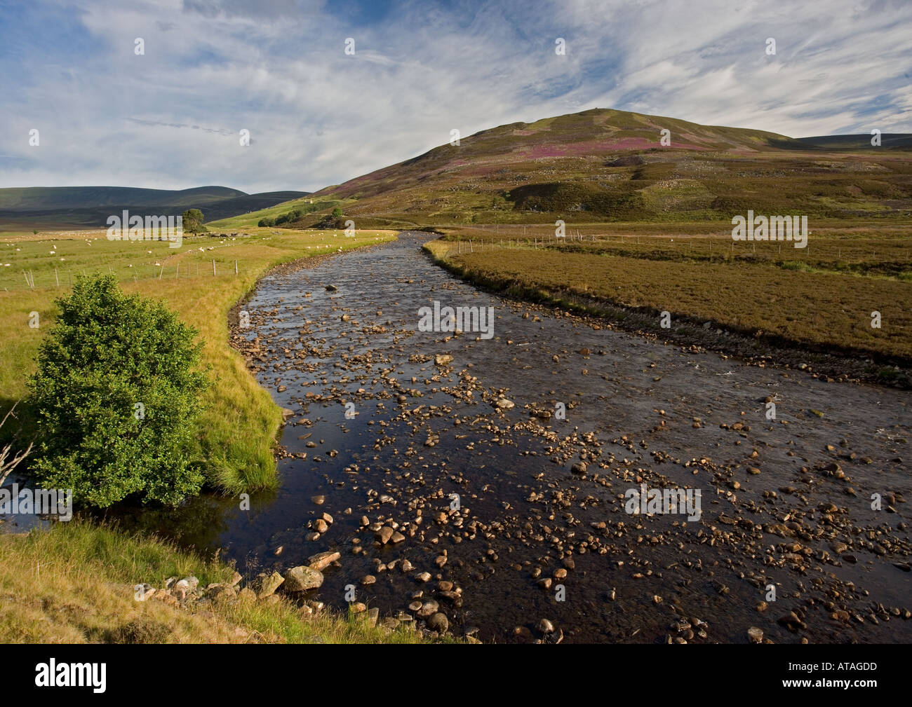 River Gairn and grouse moorland beyond on Coire an t Slugain Eastern edge of Cairngorms near Crathie Stock Photo