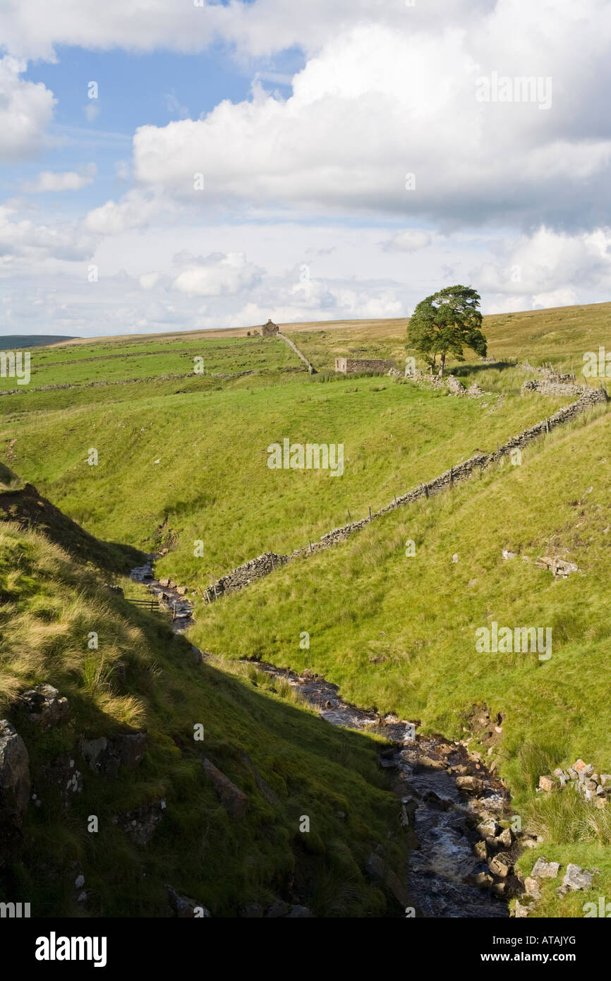 Allendale northumberland hires stock photography and images Alamy