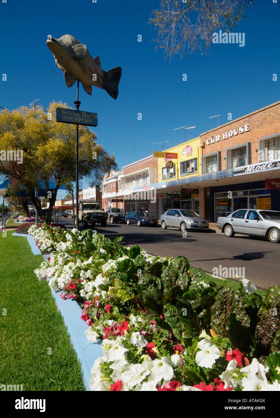 Charleville western Queensland Australia Floral display with silverbeet ...