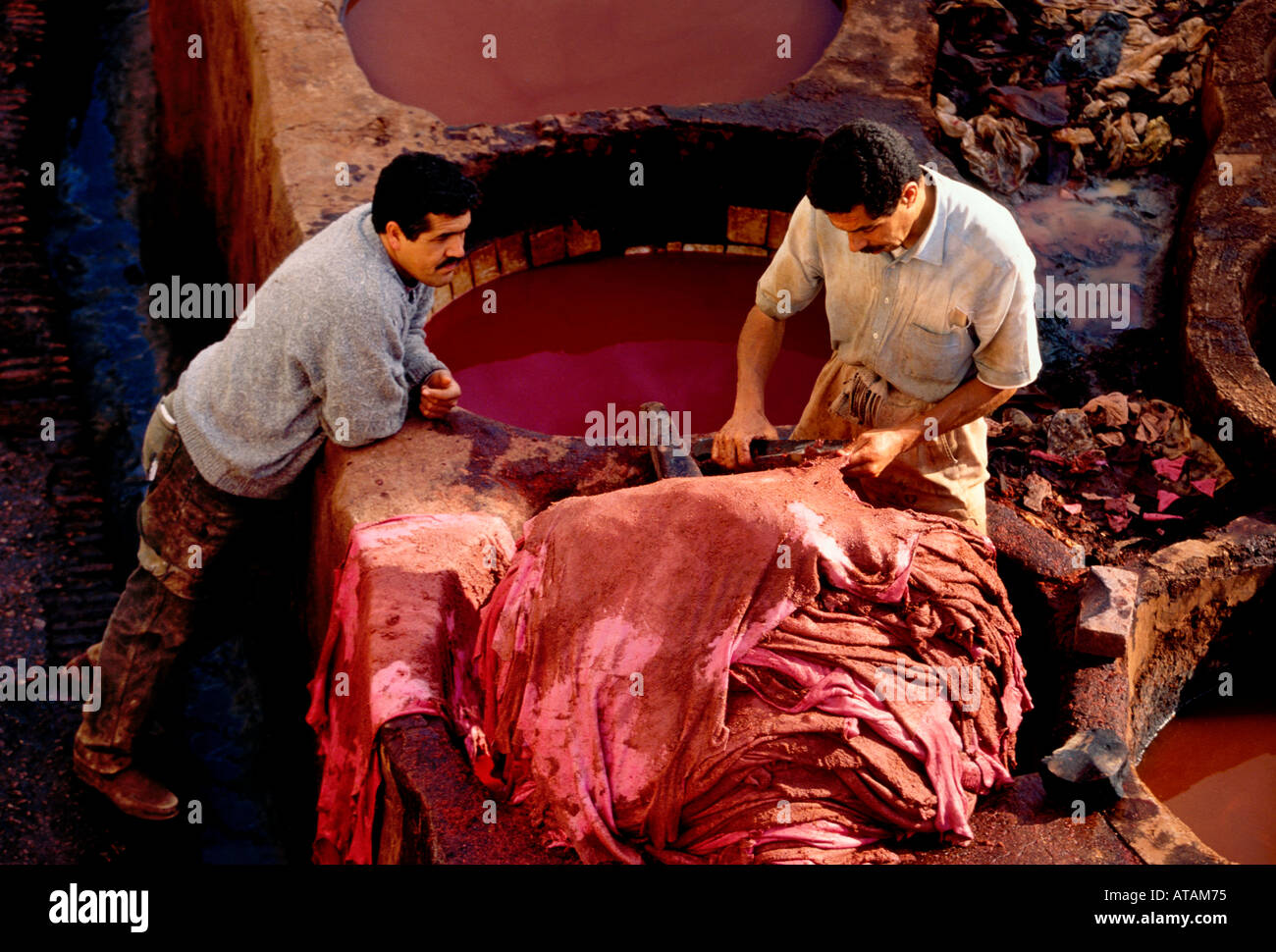 Moroccan, men, working, at work, Chouara Tannery, leather tannery,  tannery, Fes el-Bali, city of Fez, Fez, Morocco, Africa Stock Photo