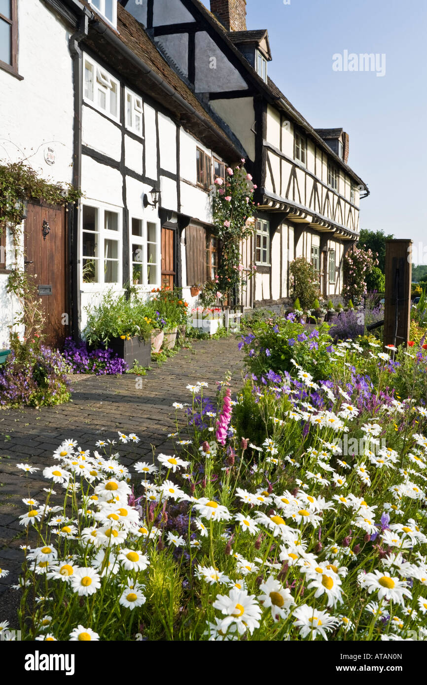 Cottages and gardens in St Marys Road, Tewkesbury, Gloucestershire Stock Photo Alamy