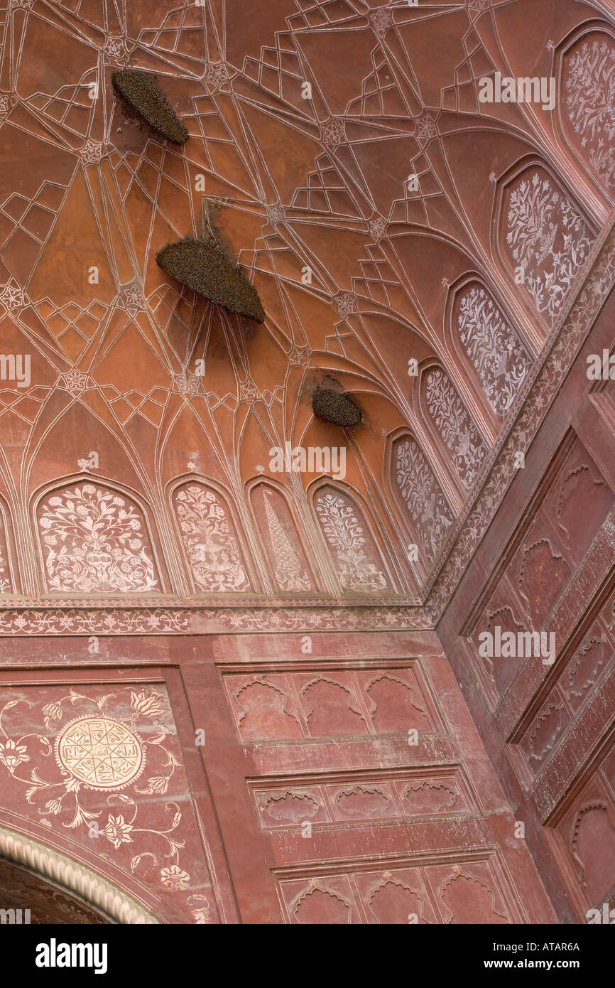 Swarms Of Honey Bees Apis Mellifera On Domed Ceiling Of Mosque At
