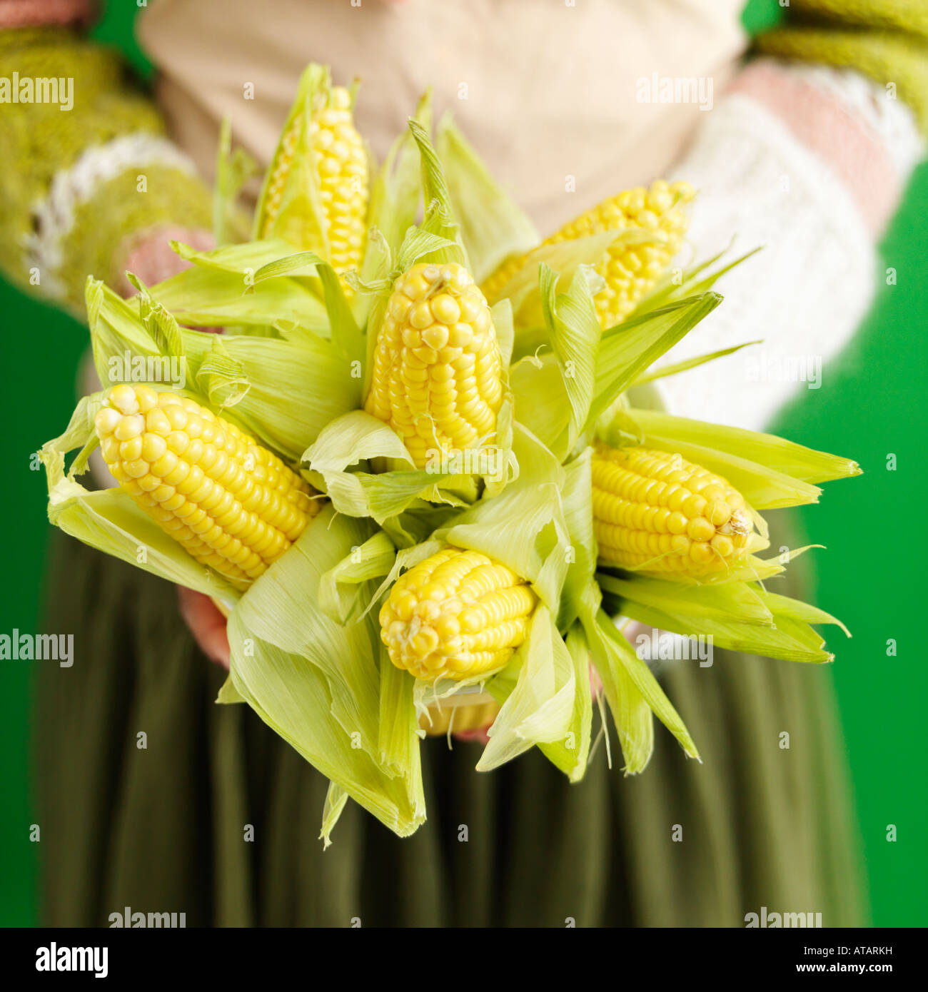 Woman holding bouquet of ears of corn Stock Photo