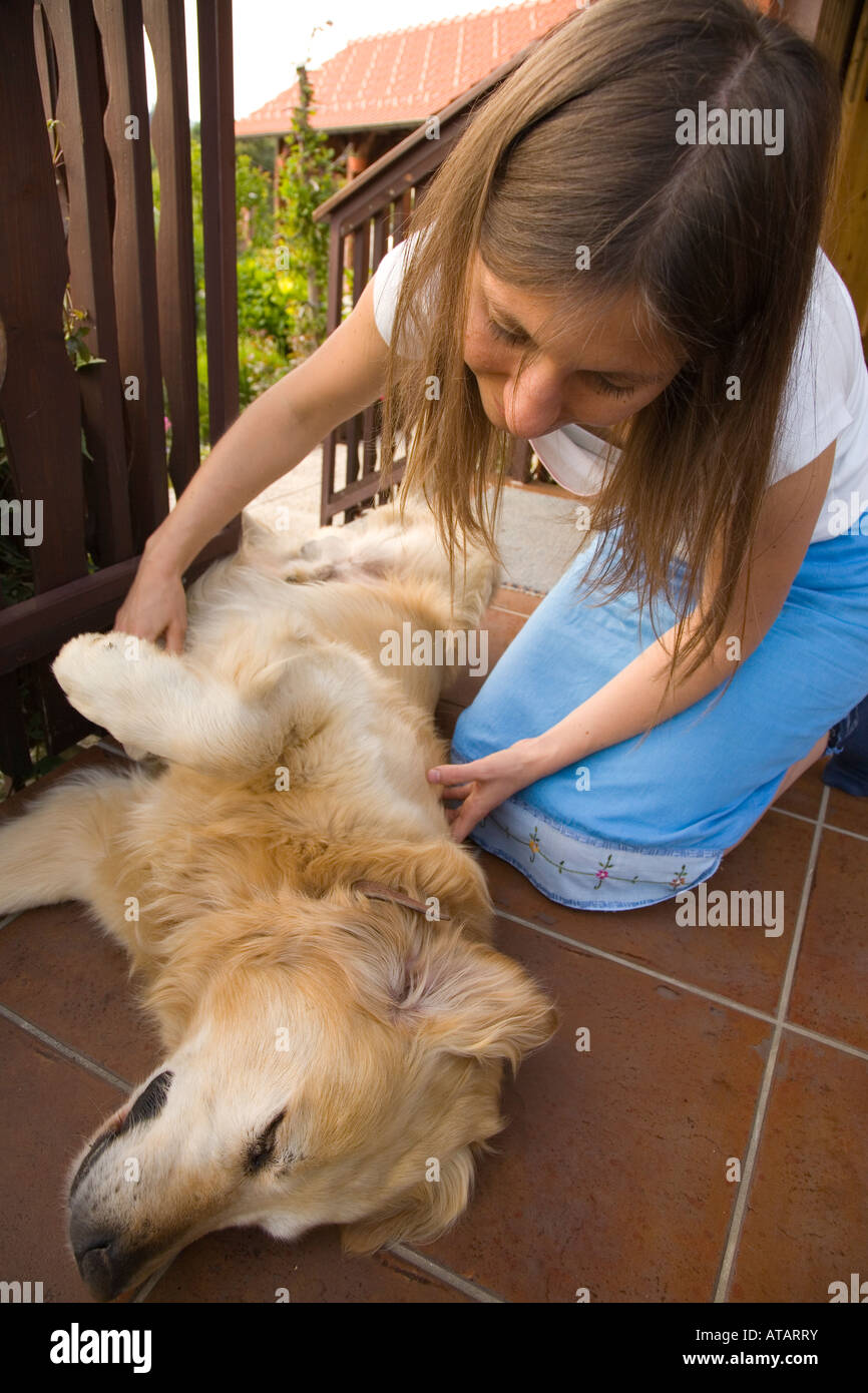 Girl petting golden retriever Slovenia Stock Photo - Alamy