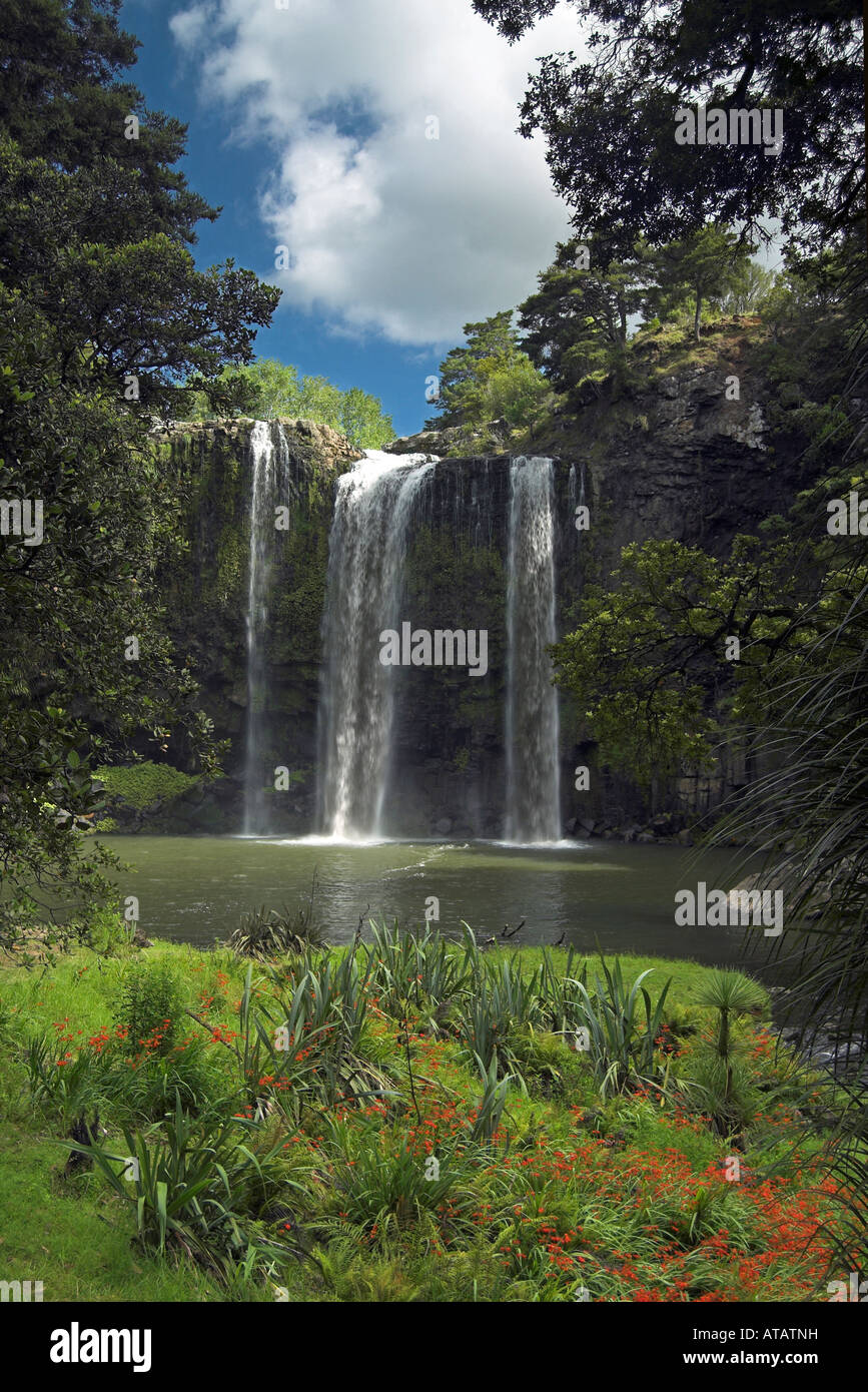 The picturesque Whangarei Waterfall, North Island, New Zealand Stock Photo