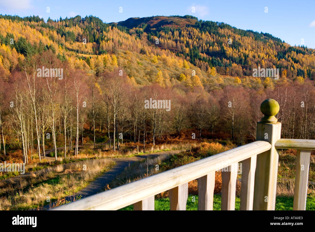 AUTUMN COLOURS TROSSACHS NATIONAL PARK SCOTLAND Stock Photo