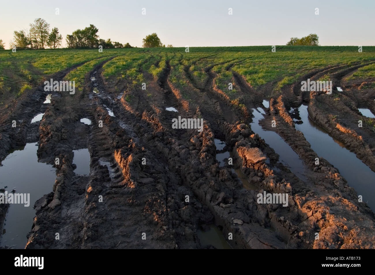 Muddy ruts mark Spring on the farm in upstate New York United States Stock Photo