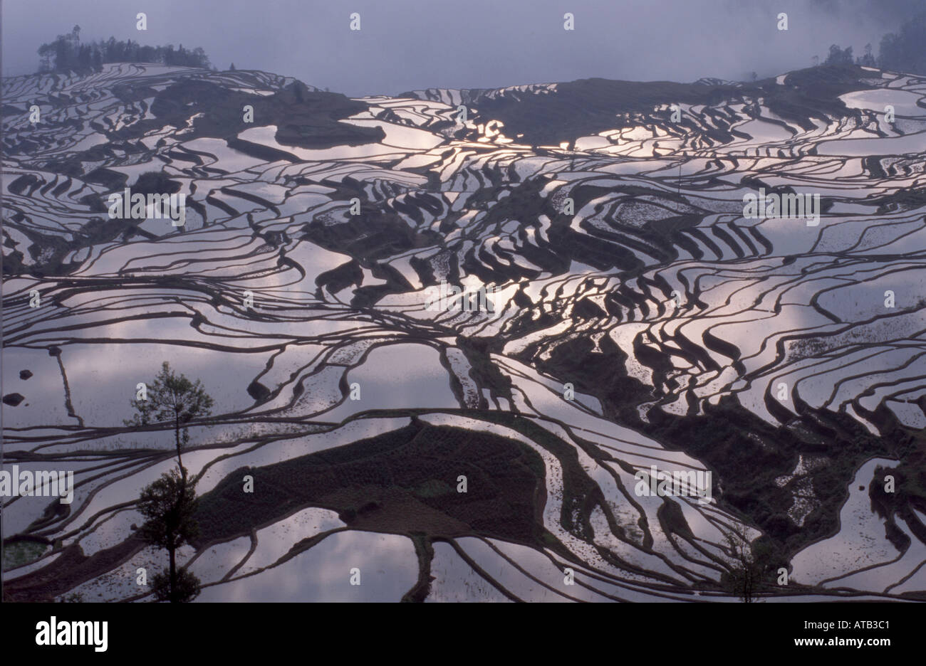Rice terraces Yunnan China Stock Photo